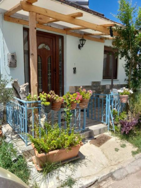 BACI HOUSE